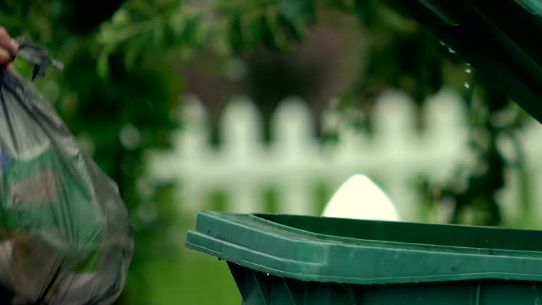 Best Yard Waste Removal  in Payson, AZ
