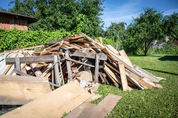 Best Carpet Removal and Disposal  in Payson, AZ